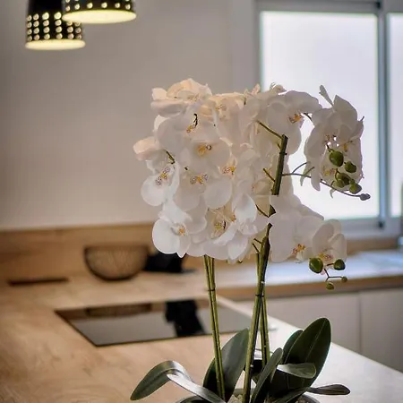 Immogroom - Renovated - Terrace - Air Conditioning - Parking Californie *